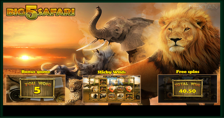 Big 5 Safari Slot Review