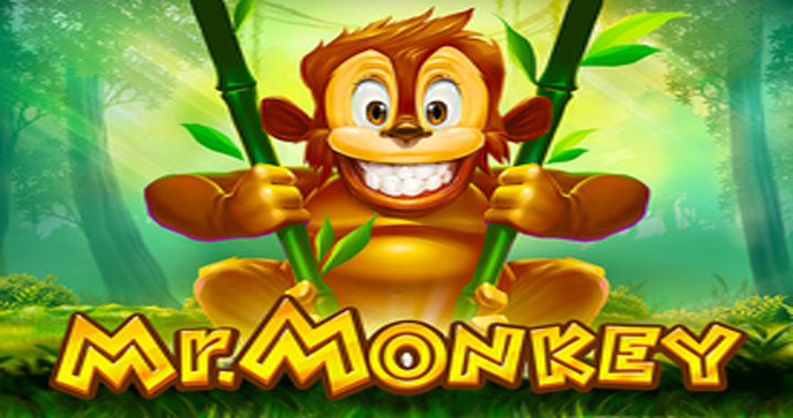 Mr Monkey Slot Review