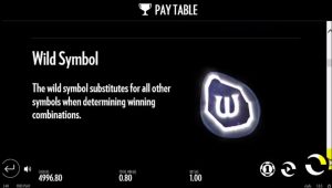 Well of Wonders Slot Review Wild Symbols
